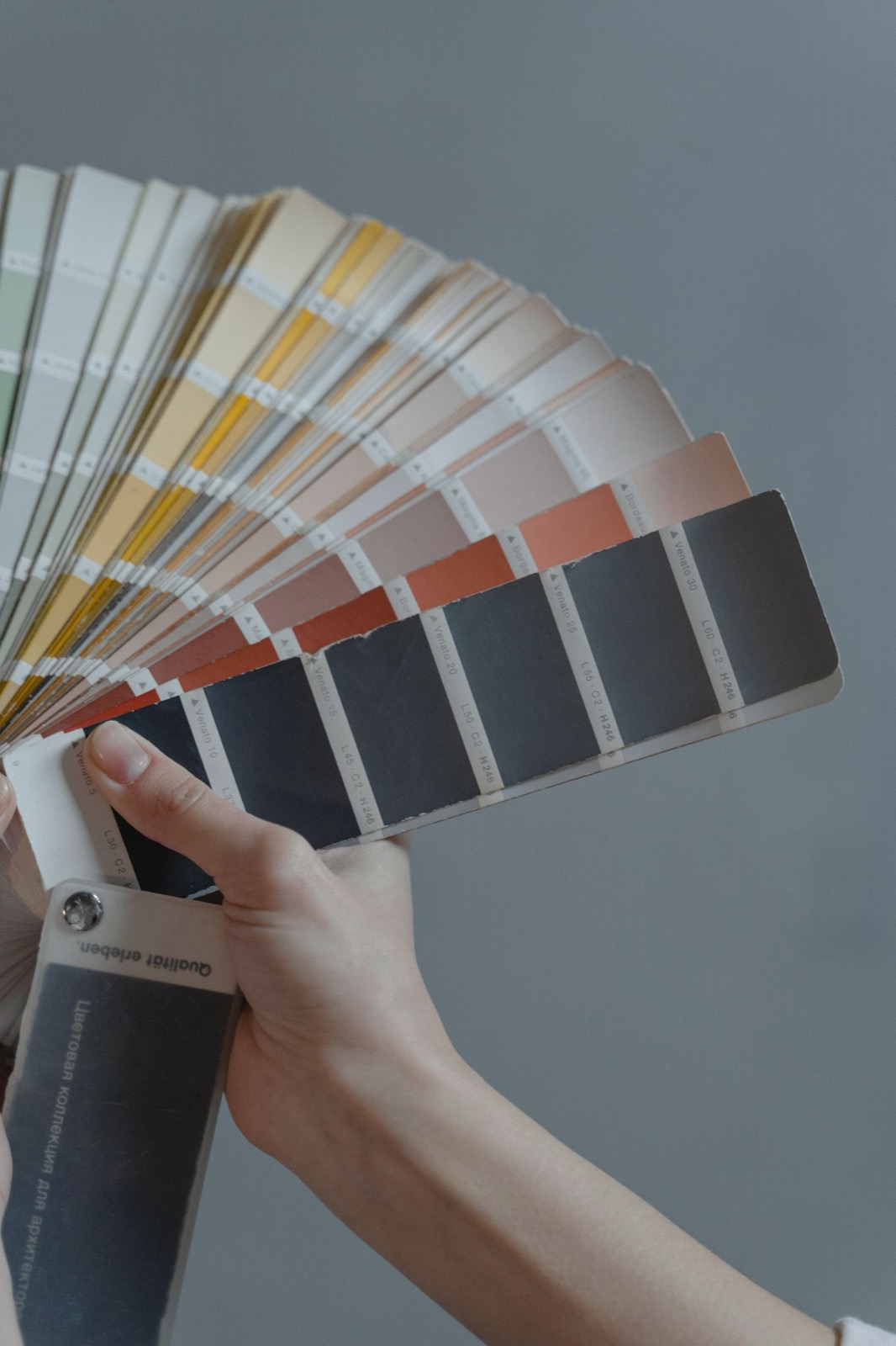 Color Consultation